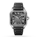 Santos de Cartier - Image 2