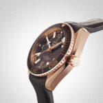OMEGA Seamaster Planet Ocean 600M - Image 6