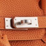 Hermès Birkin 25 Togo Orange Palladium Hardware - Image 8