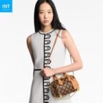 Louis Vuitton M28102 Speedy Trunk 20 - Image 3