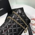 CHANEL WALLET ON CHAIN AP3054 - Image 5