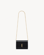 Saint Laurent VICKY MINAUDIÈRE in PLEXIGLAS