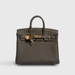 Hermès Birkin 25 Togo Eucalyptus Gold Hardware