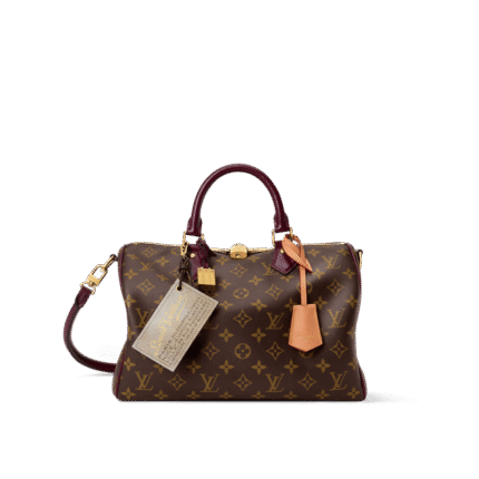 Louis Vuitton M28379 Speedy 30 Soft Celebration