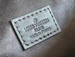 Louis Vuitton M46035 Discovery Bumbag PM - Image 11