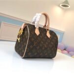 LOUIS VUITTON SPEEDY 25 M41109 - Image 8