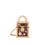 Louis Vuitton M14173 LV x TM Camera Box