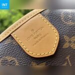 Louis Vuitton M40353 Monogram Canvas Delightful MM Shoulder Bag - Image 8