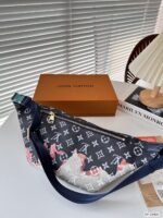 Louis Vuitton Discovery Bumbag PM M23905 - Image 5