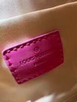 Louis Vuitton Raffia Petit Bucket Tote - Image 9