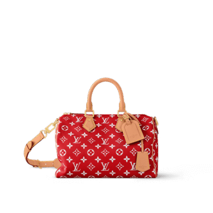 Louis Vuitton M14067 Speedy P9 Bandoulière 30 (top quality)