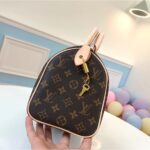 LOUIS VUITTON SPEEDY 25 M41109 - Image 7