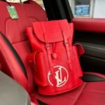 Louis Vuitton Backpack