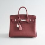 Hermès Birkin 25 Togo Rouge H Pallidum Hardware
