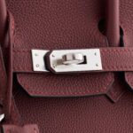 Hermès Birkin 25 Togo Rouge H Pallidum Hardware - Image 7