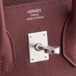 Hermès Birkin 25 Togo Rouge H Pallidum Hardware - Image 5
