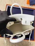 Hermès Sac Faubourg Neige Birkin Sellier 20 Matte Alligator Palladium Hardware - Image 3