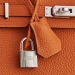 Hermès Birkin 25 Togo Orange Palladium Hardware - Image 7