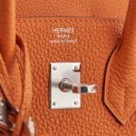 Hermès Birkin 25 Togo Orange Palladium Hardware - Image 6