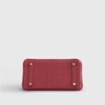 Hermès Birkin 25 Togo Rubis Gold Hardware - Image 5