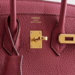 Hermès Birkin 25 Togo Rubis Gold Hardware - Image 7