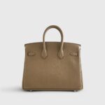 Hermès Birkin 25 Togo Toundra Palladium Hardware - Image 2