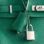 Hermès Birkin 25 Togo Vert Vertigo Palladium Hardware - Image 6