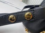 Louis Vuitton M25209 Dauphine Soft MM - Image 11