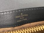 Louis Vuitton M25209 Dauphine Soft MM - Image 9