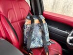 Louis Vuitton N40755 Montsouris Cargo Backpack - Image 9