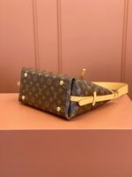 Louis Vuitton M46203 CarryAll PM - Image 7