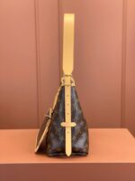 Louis Vuitton M46203 CarryAll PM - Image 5