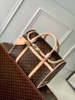 Louis Vuitton M45662 Dog Bag - Image 5