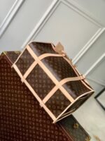 Louis Vuitton M45662 Dog Bag - Image 8