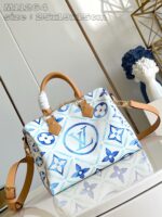 Louis Vuitton M11264 SPEEDY BANDOULIÈRE 25 - Image 2