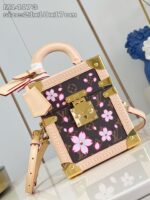 Louis Vuitton M14173 LV x TM Camera Box - Image 4
