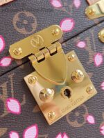 Louis Vuitton M14173 LV x TM Camera Box - Image 12