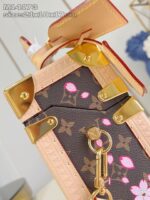 Louis Vuitton M14173 LV x TM Camera Box - Image 11