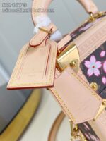 Louis Vuitton M14173 LV x TM Camera Box - Image 8