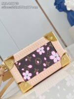 Louis Vuitton M14173 LV x TM Camera Box - Image 6