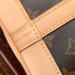 Louis Vuitton M46983 Noé BB - Image 11