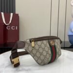 Gucci Ophidia small belt bag - Image 4