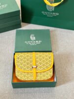 Goyard Belvedere PM Bag - Image 18