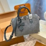 Louis Vuitton nano speedy