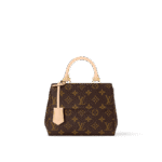 Louis Vuitton M46055 Cluny Mini