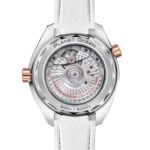 OMEGA Seamaster Planet Ocean 600M - Image 2