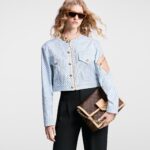 Louis Vuitton M47149 Dauphine Soft GM - Image 11