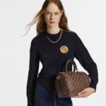 Louis Vuitton Speedy Bandouliere 25 N40575 (top quality) - Image 2
