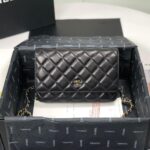 CHANEL WALLET ON CHAIN AP3054 - Image 2