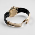 Rolex Sky-Dweller 326238 Yellow Gold Champagne Dial Rubber Strap (2022) - Image 9